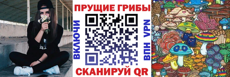 hydra ТОР  Ува  Галлюциногенные грибы Cubensis 